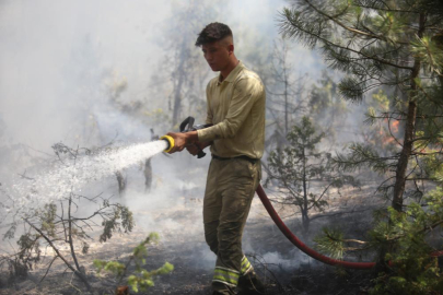 Orhaneli'ndeki orman yangını kontrol altına alındı