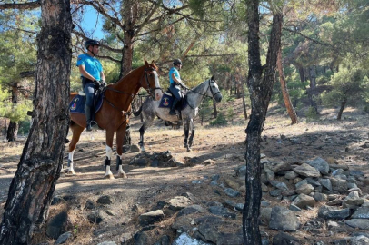 Burdur Valiliği tarafından 15 Haziran- 15 Ekim tarihleri arasında ormanlık alana girişler yasaklandı