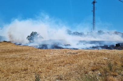 Bursa'da örtü yangını