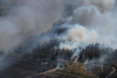Bursa'daki yangın ormana sıçradı