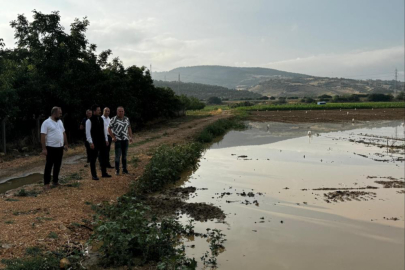 Başkan Özel, köylerde incelemede bulundu