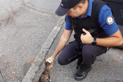 Yeni doğan kedi, polis merkezinin maskotu oldu