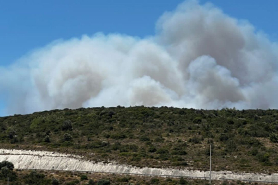 İzmir Çeşme'de orman yangını: 3 ölü