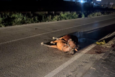 Bursa'da başıboş ata çarpıp kaçtı, arkasına bile bakmadı