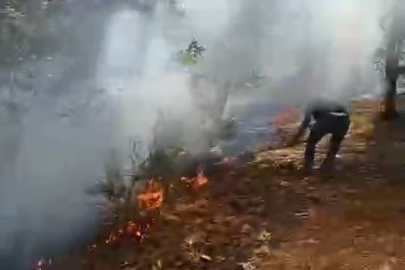 Bursa'da orman yangınına havadan ve karadan müdahale sürüyor