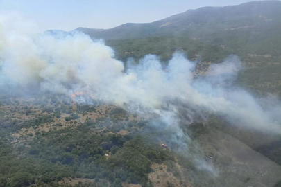 Bursa'daki orman yangını kontrol altına alındı