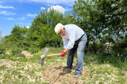 80 yaşında tarlada gençlere taş çıkartıyor: "Çalışmadan duramıyorum"