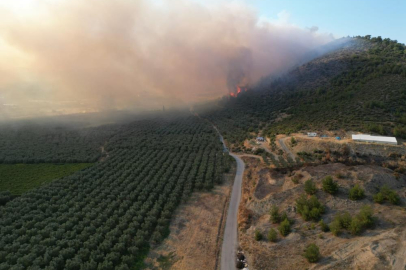 Bursa'da yangın