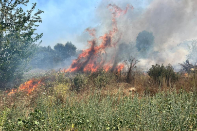 Bursa'da otluk alanda çıkan yangın büyümeden söndürüldü