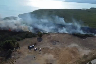 İznik Gölü'nde sazlık yangını