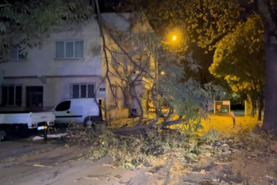 Bursa Büyükşehir Belediyesi lodosa karşı uyardı