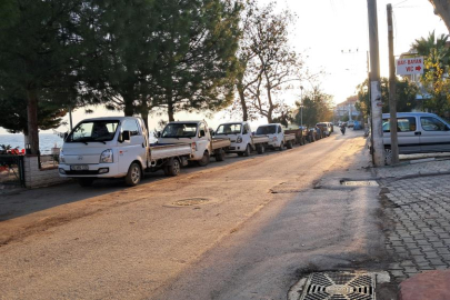 Bursa'da zeytin üreticilerinin Tarım Kredi çilesi