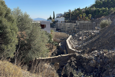 Ünlü sanatçı Suavi'ye Bodrum'da ağaç katliamı cezası